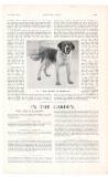 Country Life Saturday 29 November 1913 Page 45