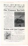 Country Life Saturday 29 November 1913 Page 65