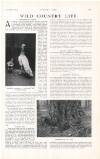 Country Life Saturday 29 November 1913 Page 77