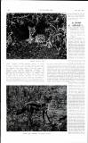 Country Life Saturday 06 December 1913 Page 259