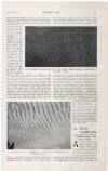 Country Life Saturday 17 January 1914 Page 41