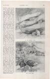 Country Life Saturday 17 January 1914 Page 51