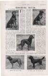 Country Life Saturday 17 January 1914 Page 82