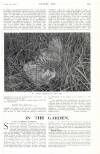 Country Life Saturday 11 April 1914 Page 15