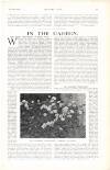 Country Life Saturday 02 January 1915 Page 31