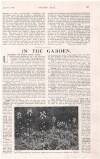 Country Life Saturday 31 July 1915 Page 23