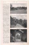 Country Life Saturday 04 September 1915 Page 21