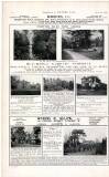Country Life Saturday 06 November 1915 Page 16