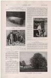 Country Life Saturday 13 May 1916 Page 56