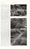 Country Life Saturday 15 July 1916 Page 17