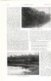 Country Life Saturday 29 July 1916 Page 6