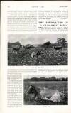Country Life Saturday 02 September 1916 Page 22