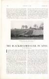 Country Life Saturday 21 April 1917 Page 36