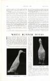 Country Life Saturday 12 May 1917 Page 40