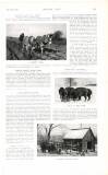 Country Life Saturday 12 May 1917 Page 53