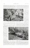 Country Life Saturday 02 June 1917 Page 40