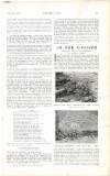 Country Life Saturday 02 June 1917 Page 53