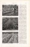 Country Life Saturday 23 March 1918 Page 47