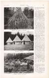 Country Life Saturday 01 February 1919 Page 55