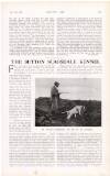 Country Life Saturday 15 February 1919 Page 49