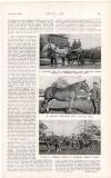 Country Life Saturday 08 March 1919 Page 47