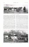 Country Life Saturday 07 June 1919 Page 106