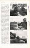 Country Life Saturday 07 June 1919 Page 117