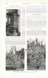 Country Life Saturday 07 June 1919 Page 146