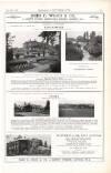Country Life Saturday 12 July 1919 Page 41
