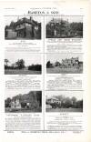 Country Life Saturday 06 September 1919 Page 25