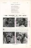 Country Life Saturday 20 September 1919 Page 80