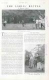 Country Life Saturday 01 November 1919 Page 119