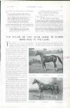 Country Life Saturday 28 February 1920 Page 71