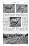 Country Life Saturday 22 May 1920 Page 20