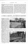 Country Life Saturday 29 May 1920 Page 19