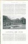 Country Life Saturday 17 July 1920 Page 146