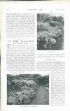 Country Life Saturday 18 September 1920 Page 118