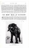 Country Life Saturday 05 February 1921 Page 63