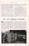 Country Life Saturday 19 February 1921 Page 71