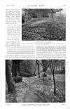Country Life Saturday 01 April 1922 Page 61