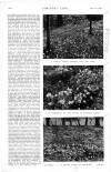 Country Life Saturday 01 April 1922 Page 62