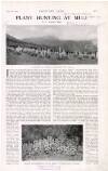 Country Life Saturday 01 September 1923 Page 55