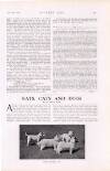 Country Life Saturday 16 February 1924 Page 47