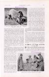 Country Life Saturday 01 March 1924 Page 51