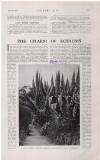 Country Life Saturday 02 August 1924 Page 57