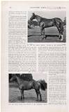 Country Life Saturday 09 August 1924 Page 42