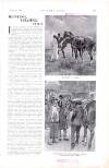 Country Life Saturday 07 March 1925 Page 46