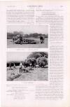 Country Life Saturday 27 June 1925 Page 65