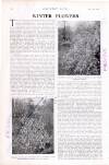 Country Life Saturday 08 January 1927 Page 36