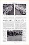 Country Life Saturday 18 February 1928 Page 135